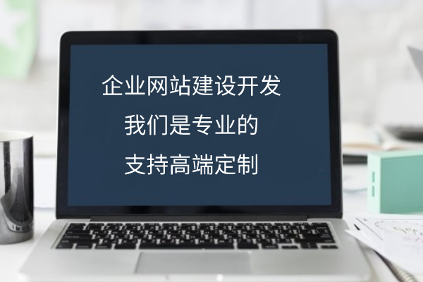 公司企業(yè)網站建設