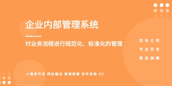 企業內部管理系統軟件開發搭建